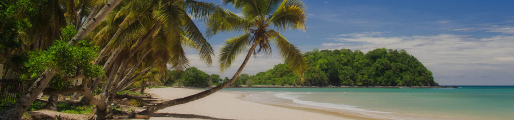 header-bons-plans-1920x450-2